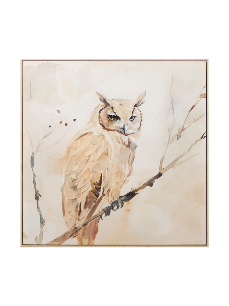 image LAND Bild Natural Owl  | Schubiger Möbel