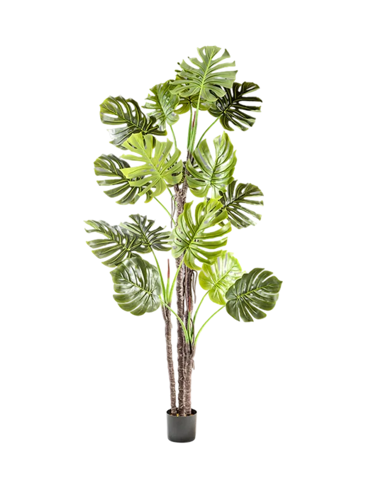 Hochwertige Kunstpflanze „Monstera“ Grün, Braun Schuller