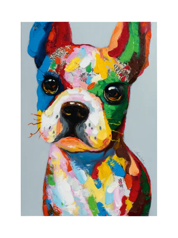 image LAND Bild Lustiger Bunter Hund 2  | Schubiger Möbel