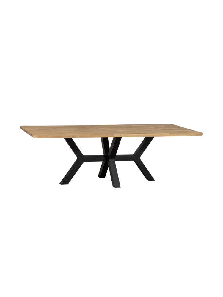 Massivholz Design Esstisch „Mio Tablo“ 240 x 100 cm De Eekhoorn