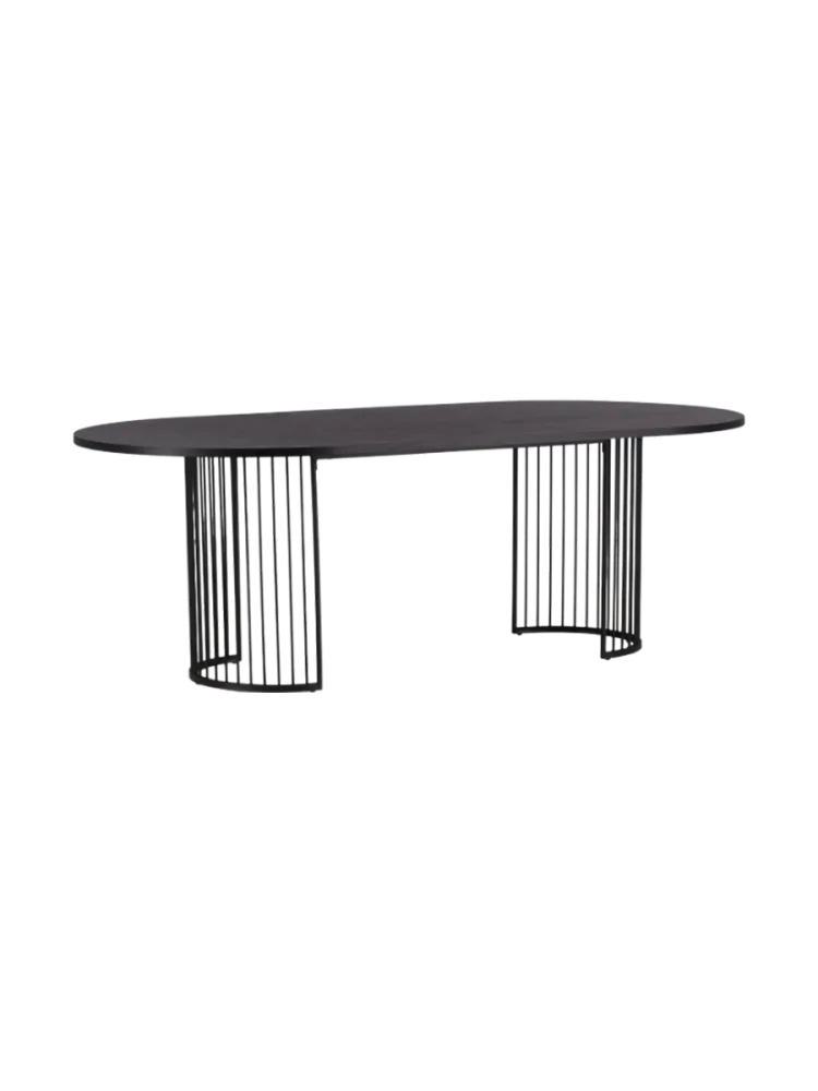 Ovaler Design Esstisch „Hamneskär“ - 220 x 110 cm Schwarz VE DESIGN