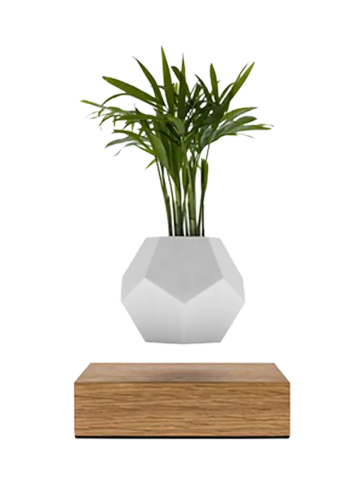 Schwebendes Design Objekt „LYFE Planter“ FLYTE