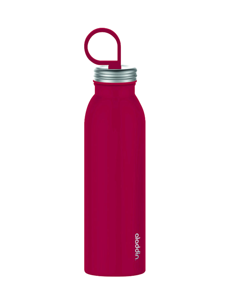 Edelstahl-Wasserflasche „Chilled Thermavac™“ 0.55 L aladdin