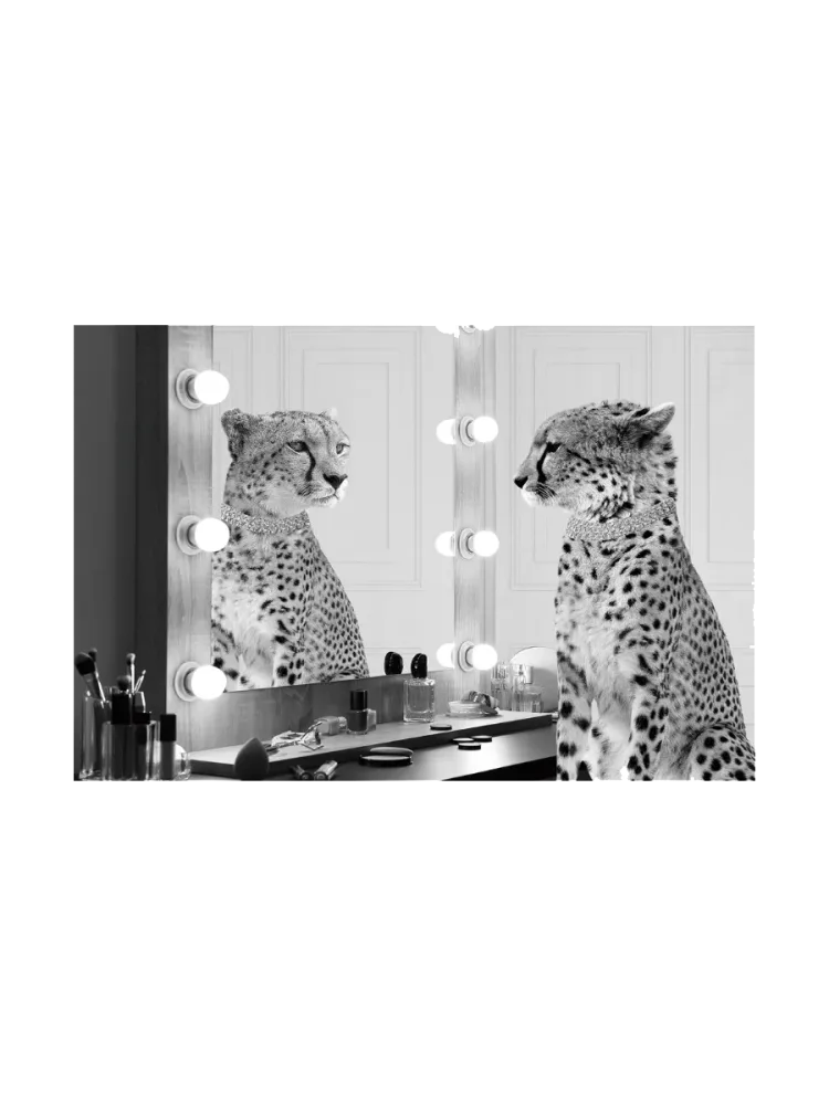 image LAND Glasbild Gepard Starlet  | Schubiger Möbel