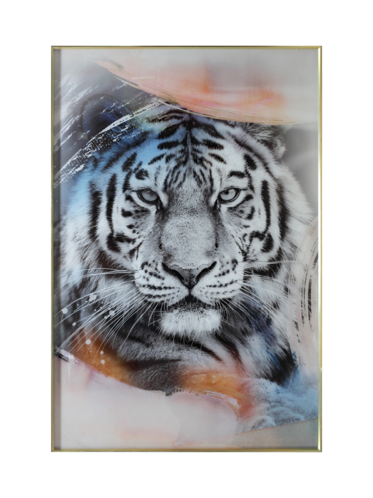 Glasbild „Weisser Tiger“ 100 x 150 cm Crea Collection