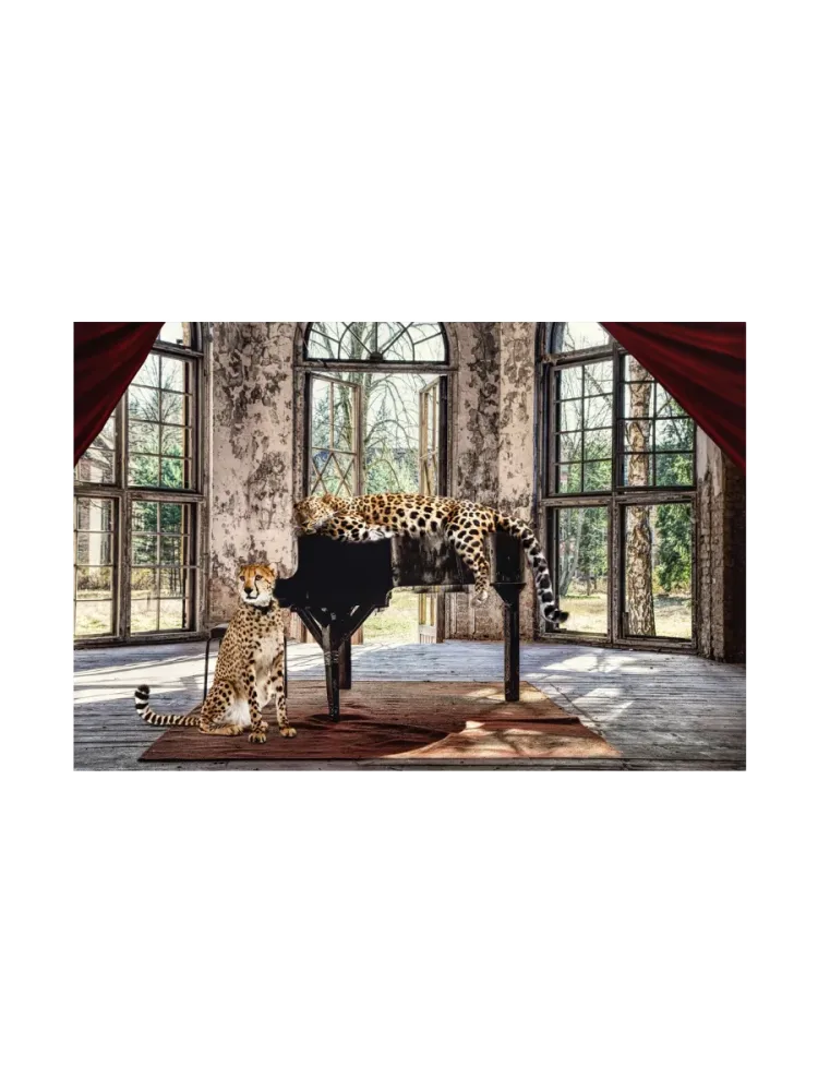image LAND Glasbild Wild Music Cats  | Schubiger Möbel