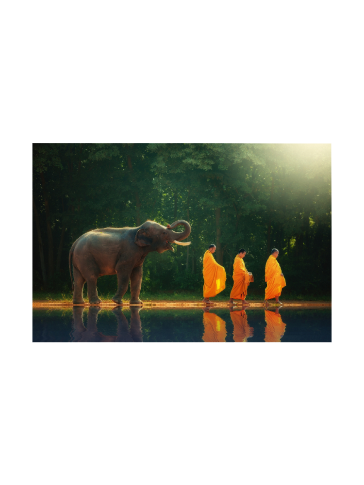 image LAND Digitaldruck auf Glas Mönchwanderung mit Elefant  | Schubiger Möbel