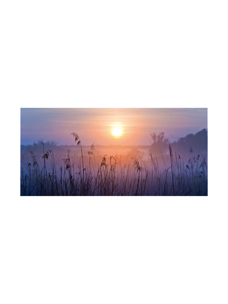 image LAND Digitaldruck auf Glas Sonnenaufgang im Nebel  | Schubiger Möbel