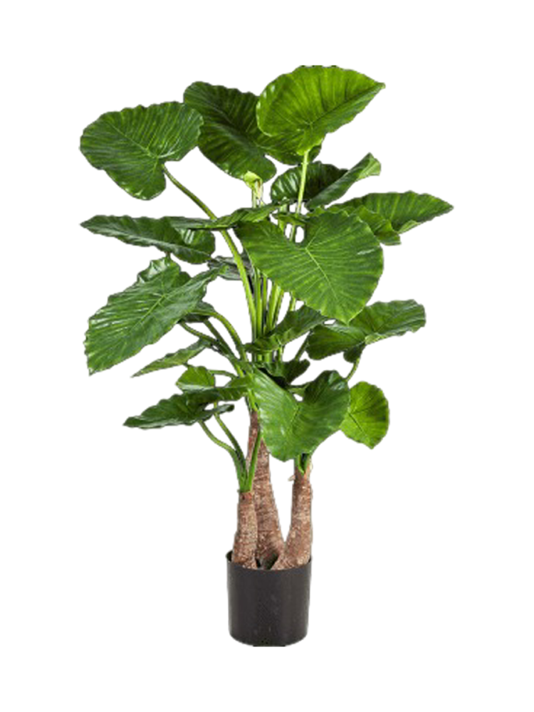 Lebensechte Kunstpflanze „Alcosia Calidora“ Baq Design