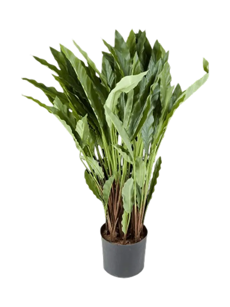 Lebensechte Kunstpflanze „Calathea Tuff“ Ø 60/ Höhe 84 cm Baq Design