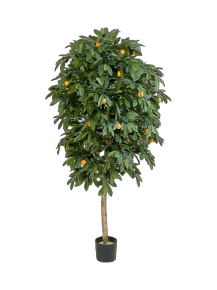 Lebensechte Kunstpflanze „Citrus Mandarine“, verschiedene Grössen Baq Design