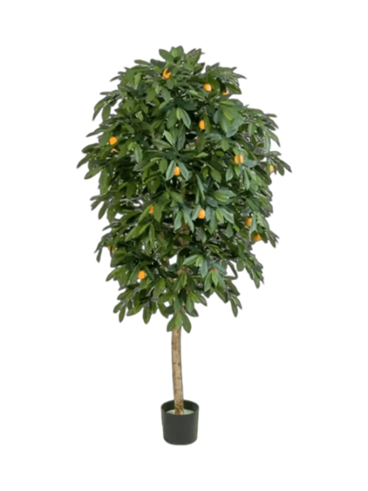 Lebensechte Kunstpflanze „Citrus Mandarine“, verschiedene Grössen Baq Design