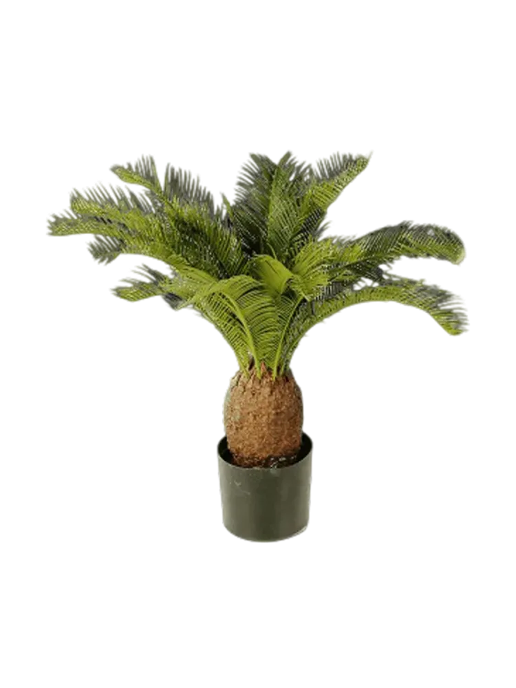 Lebensechte Kunstpflanze „Cycas Tuff“, verschiedene Grössen Baq Design