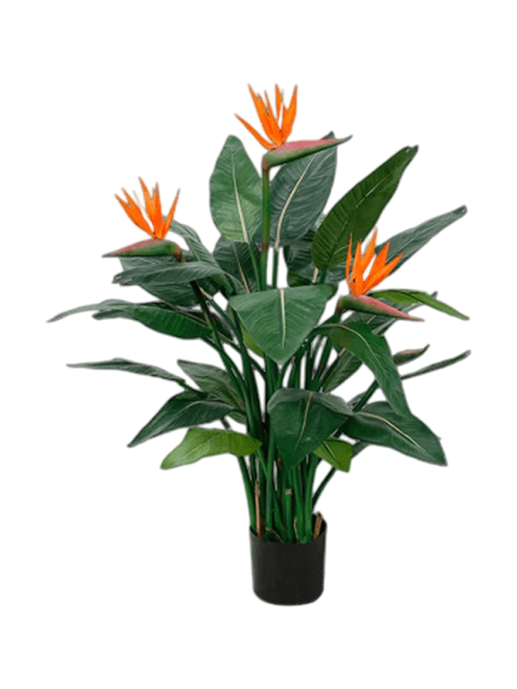 Lebensechte Kunstpflanze „Strelitzia Nicolai deluxe“, Ø 80 x 115 cm Baq Design