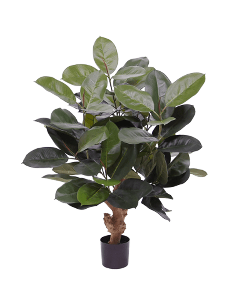 Lebensechte Kunstpflanze „Ficus Elastica Robusta Bush“ Ø 65 x 95 cm Baq Design
