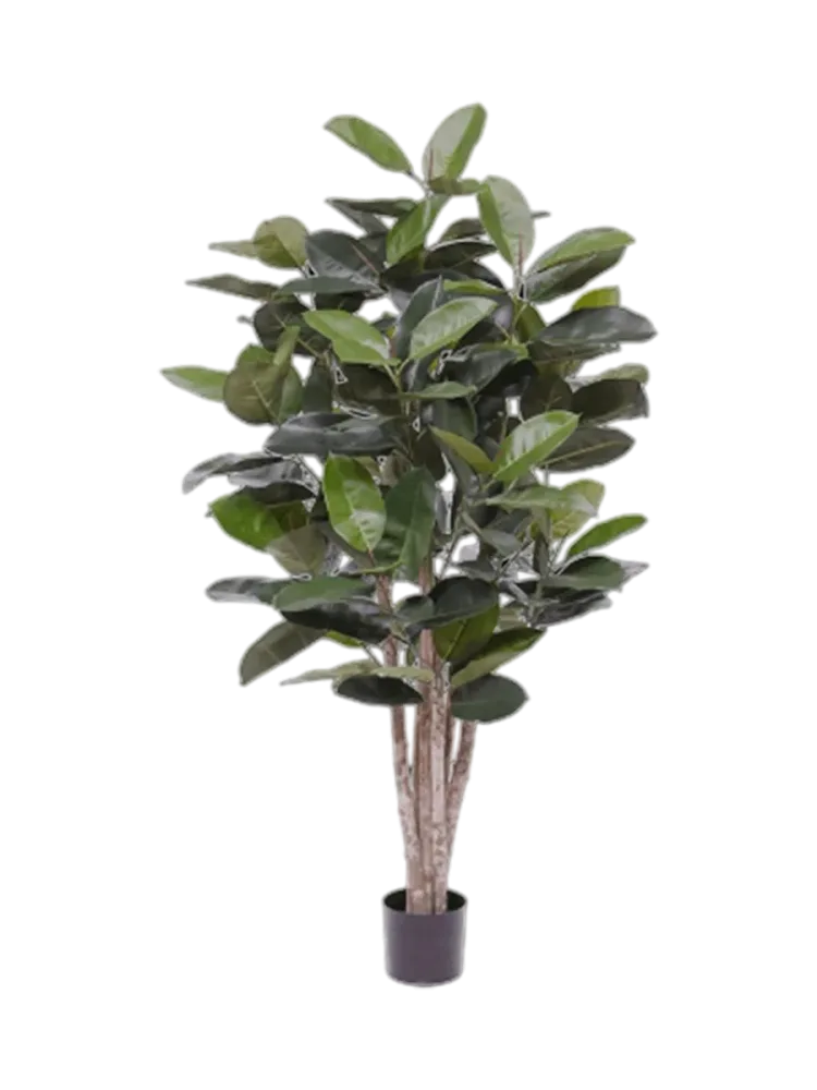 Lebensechte Kunstpflanze „Ficus Elastica Robusta Bush“ Ø 95 x 170 cm Baq Design