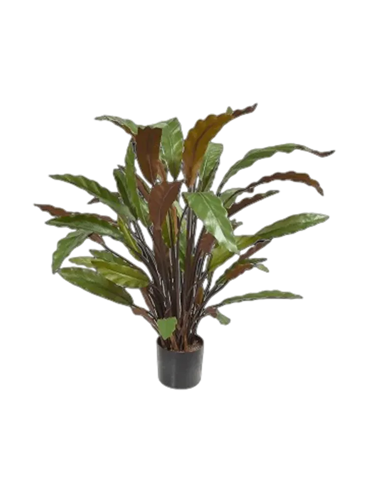 Lebensechte Kunstpflanze „Calathea Rufibarba Blue Grass“, Ø 40 x 60 cm Baq Design