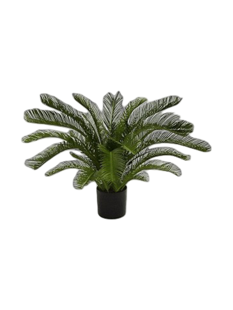 Lebensechte Kunstpflanze „Cycas Revoluta“, verschiedene Grössen Baq Design