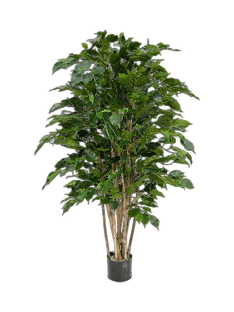 Lebensechte Kunstpflanze „Ficus Benjamina Exotica“ Ø 70 x 120 cm Baq Design