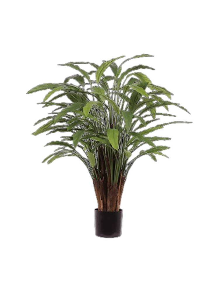 Lebensechte Kunstpflanze „Calathea Leopardina“, verschiedene Grössen Baq Design