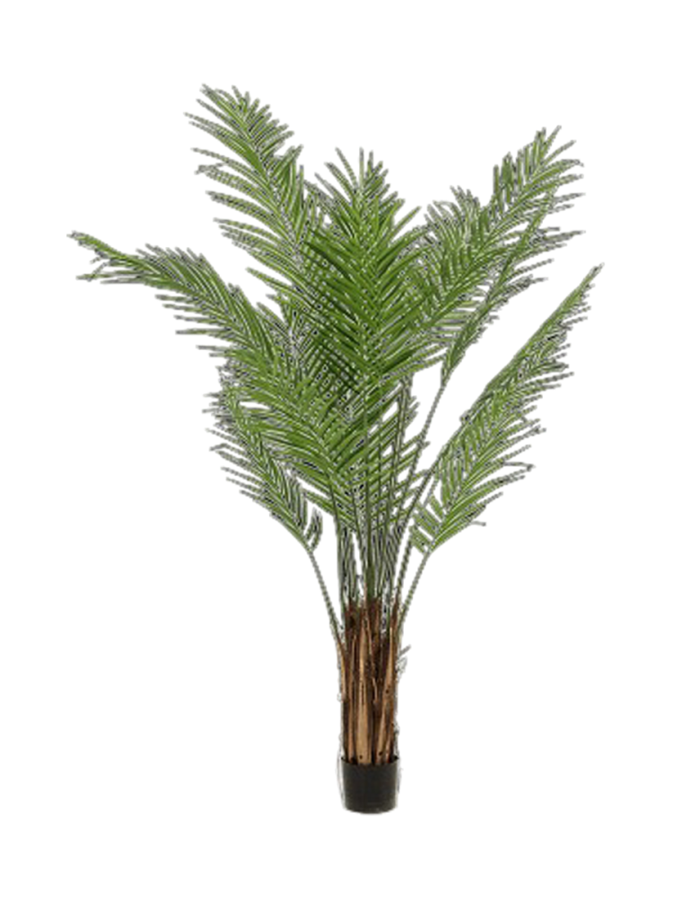 Lebensechte Kunstpflanze „Areca Bush“, verschiedene Grössen Baq Design