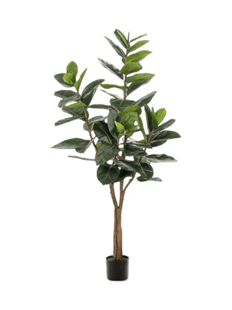 Lebensechte Kunstpflanze „Ficus Elastica verzweigt“ Ø 75 x 180 cm Baq Design