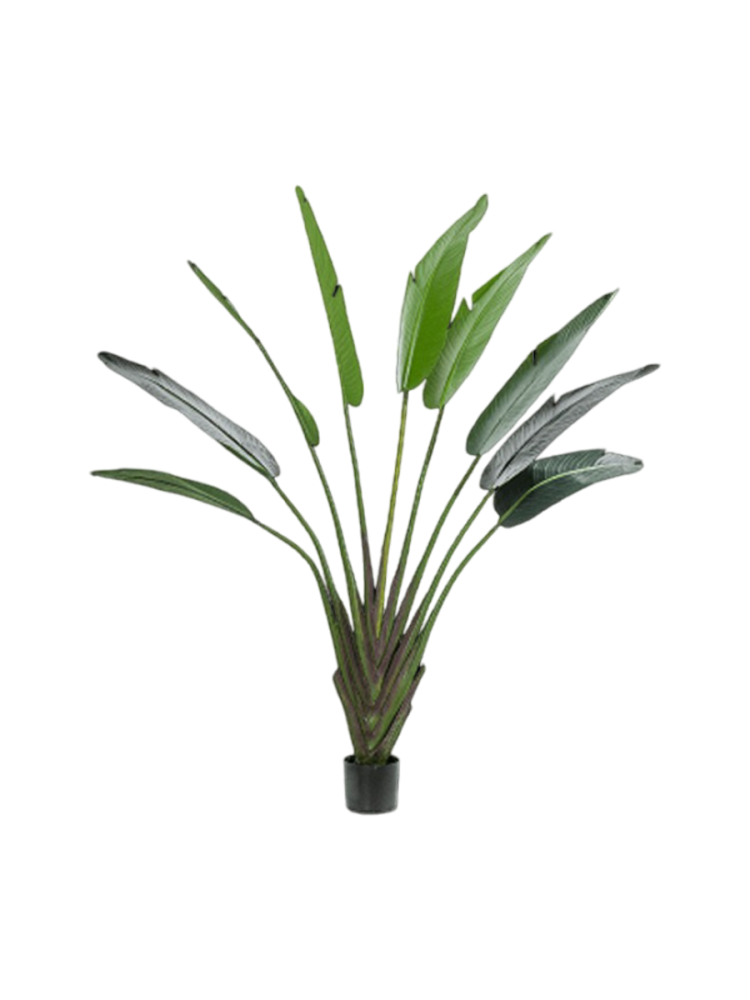Lebensechte Kunstpflanze „Strelitzia Duft“, Ø 140 x 180 cm Baq Design