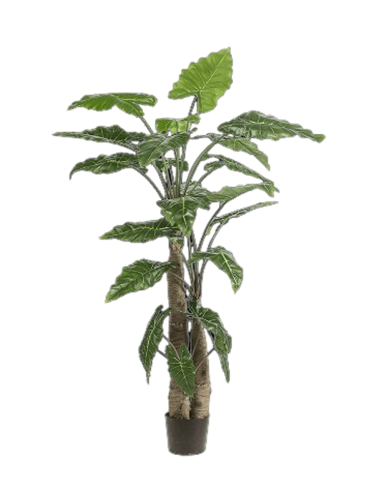 Lebensechte Kunstpflanze „Alocasia Giant Tree“, Ø 120 x 180 cm Baq Design