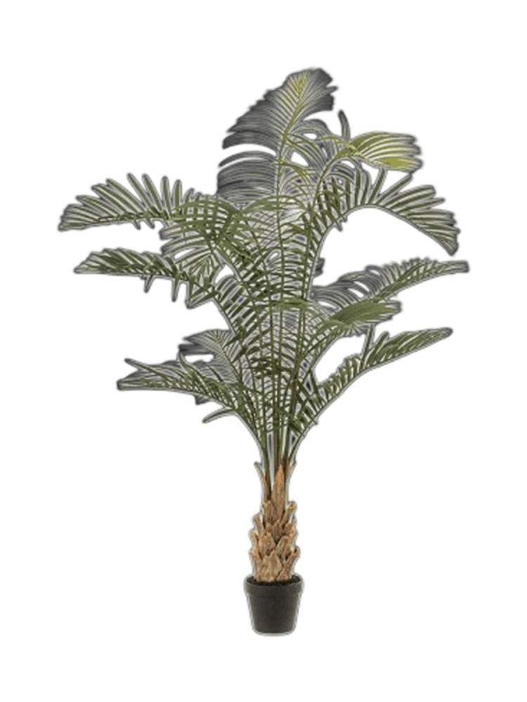 Lebensechte Kunstpflanze „Areca Palm“, 85 x 120 cm Baq Design