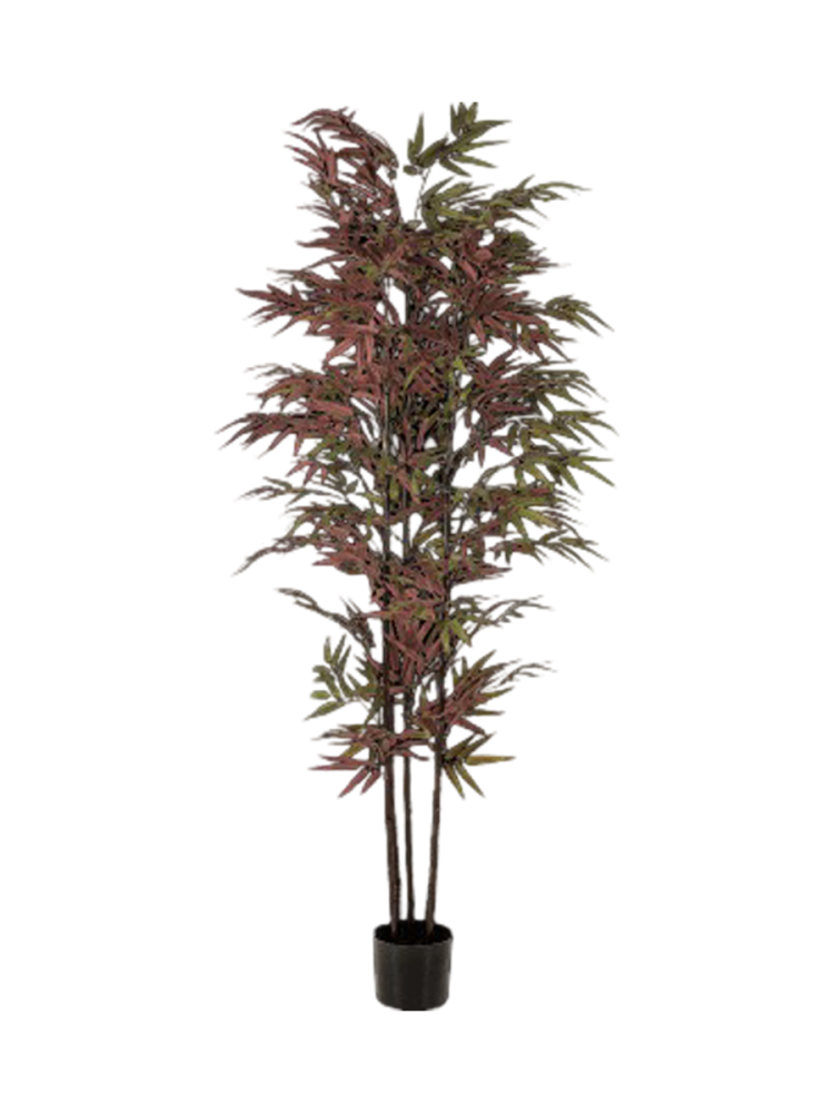 Lebensechte Kunstpflanze „Bamboo Burgundy“, Höhe 180 cm Baq Design
