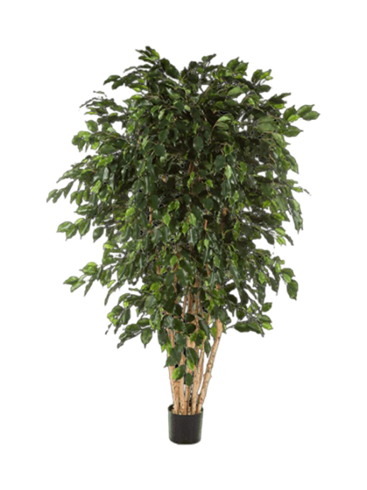 Lebensechte Kunstpflanze „Ficus Exotica Bush XL“ Baq Design