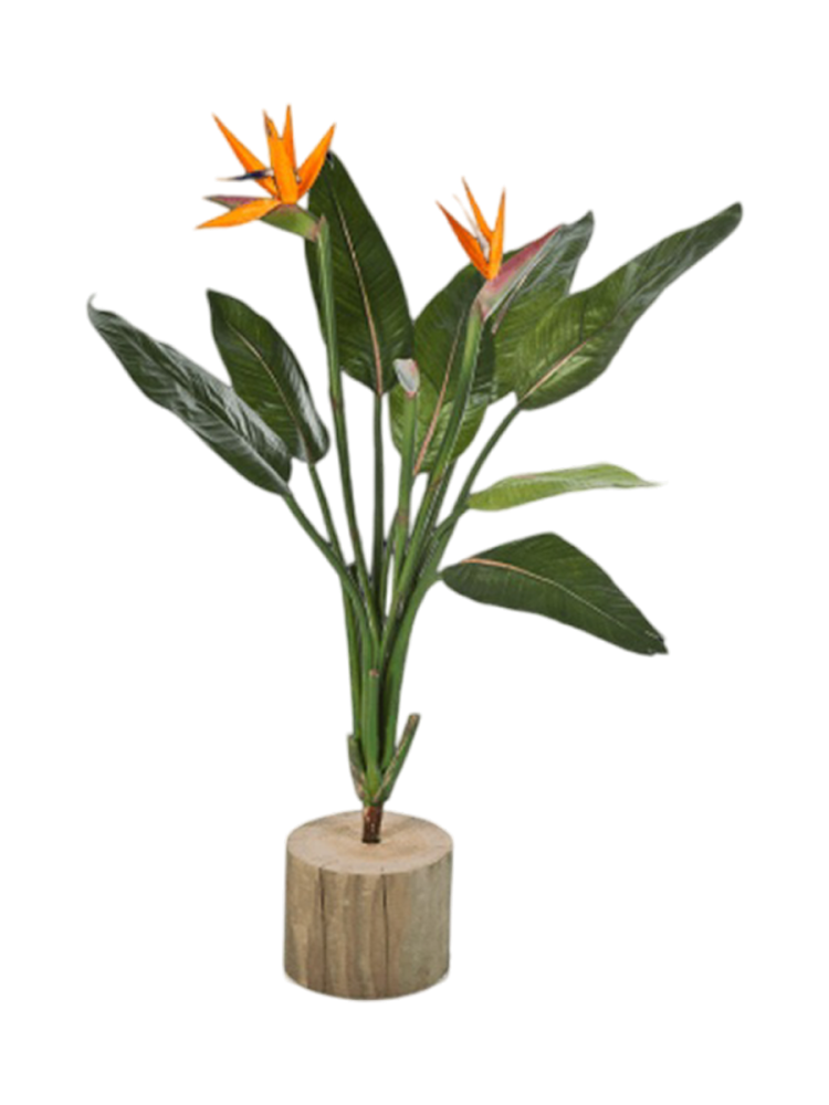 Lebensechte Kunstpflanze „Strelitzia Bush“, Höhe 100 cm Baq Design