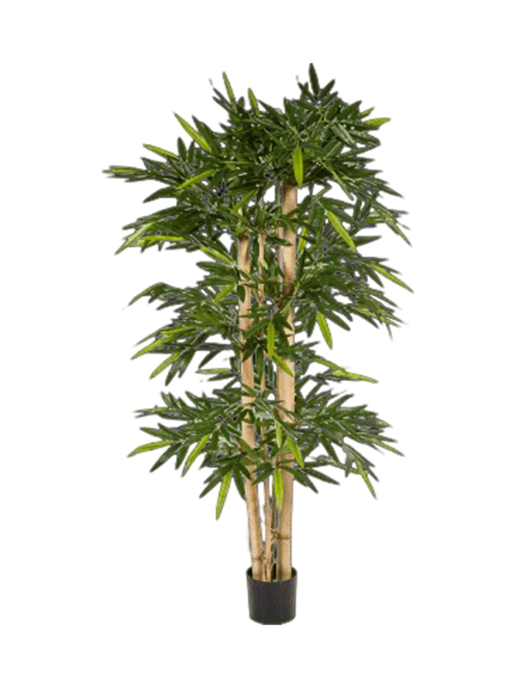 Lebensechte Kunstpflanze „Bamboo New Giant“, verschiedene Grössen Baq Design