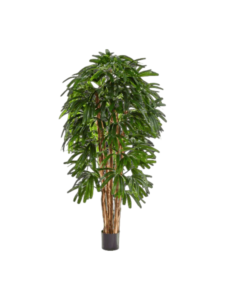 Lebensechte Kunstpflanze „Rhapis Tuft“, verschiedene Grössen Baq Design