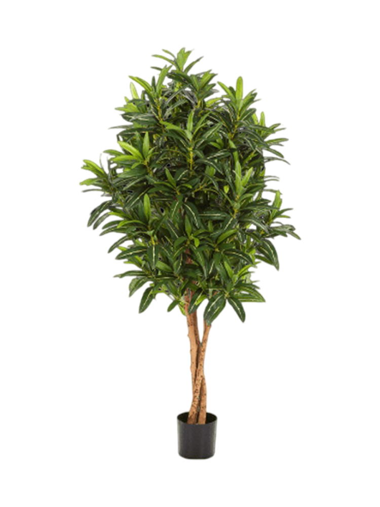 Lebensechte Kunstpflanze „Croton Goldfinger“, verschiedene Grössen Baq Design