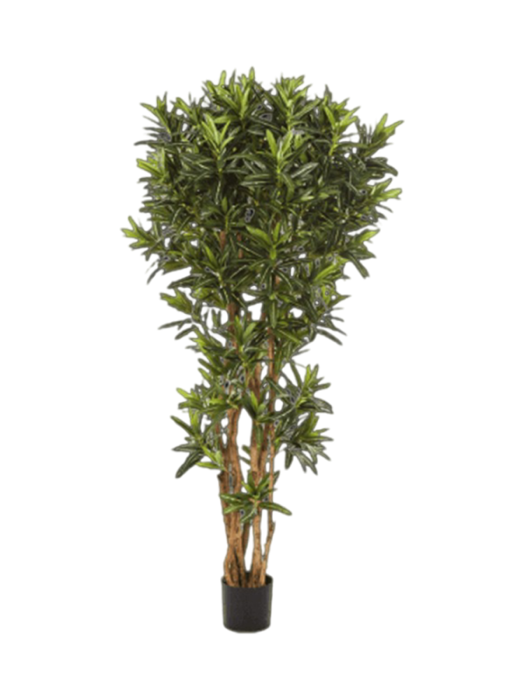 Lebensechte Kunstpflanze „Croton Goldfinger Reflexa“, verschiedene Grössen Baq Design