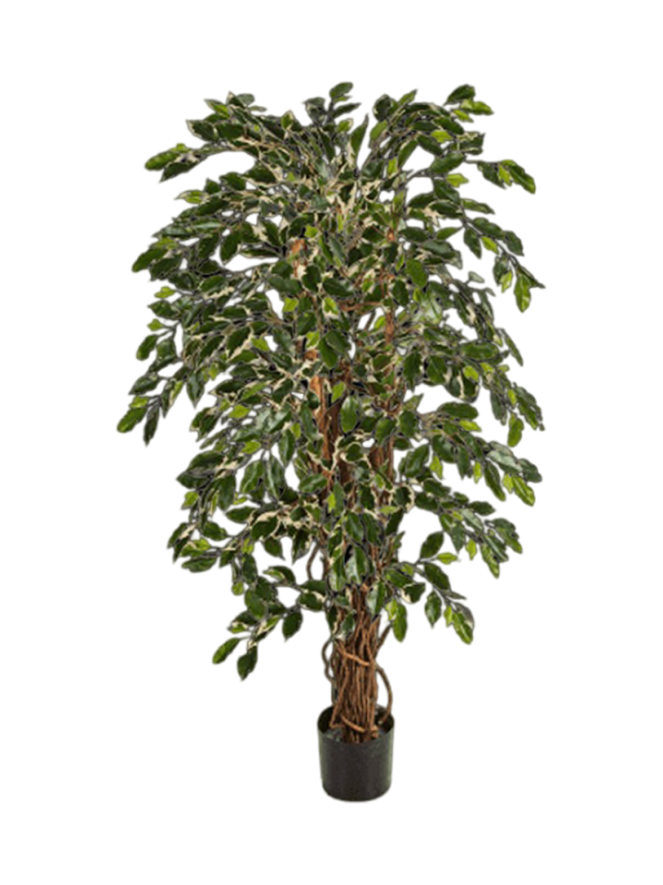 Lebensechte Kunstpflanze „Ficus Liana Branched“, verschiedene Grössen Baq Design