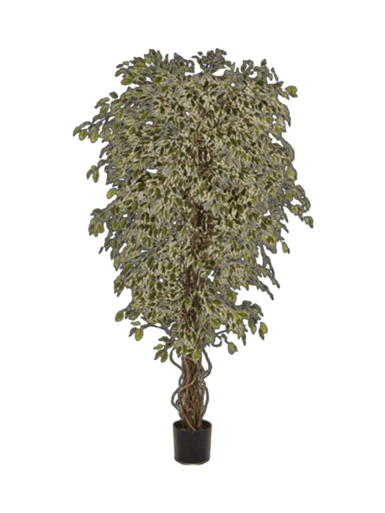 Lebensechte Kunstpflanze „Hawaiian Liana Branched“, verschiedene Grössen Baq Design