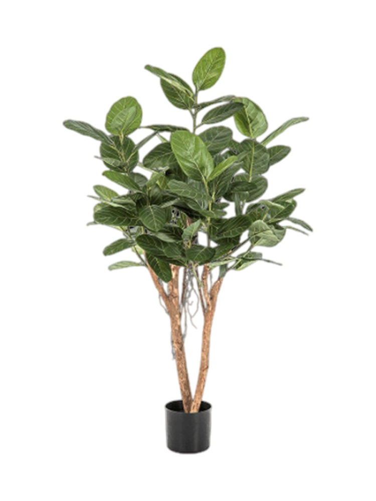 Lebensechte Kunstpflanze „Ficus Audrey“, Höhe 140 cm Baq Design