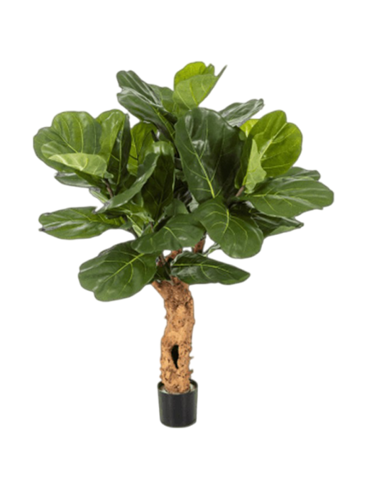 Lebensechte Kunstpflanze „Ficus Lyrata Trunk“ Baq Design