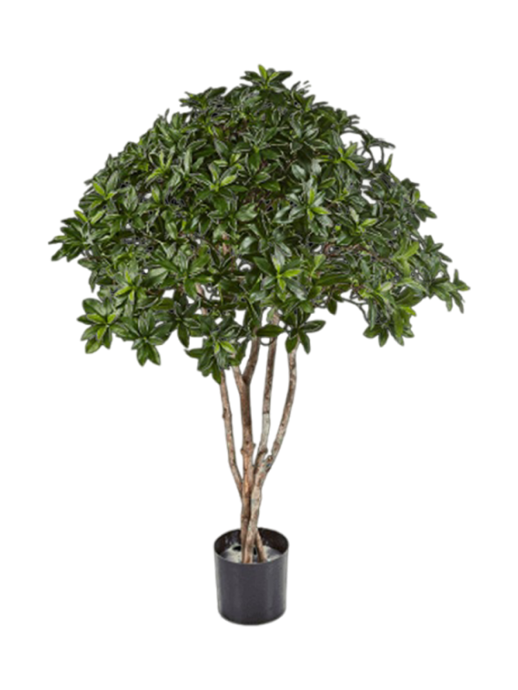 Lebensechte Kunstpflanze „Euonymus Japonicus“, Ø 100 x 120 cm Baq Design