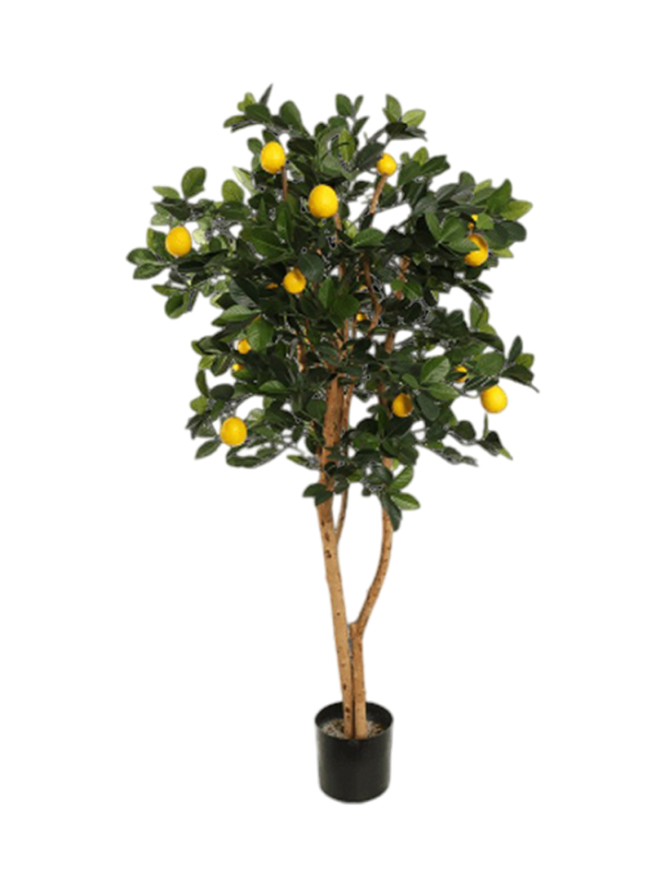 Lebensechte Kunstpflanze „Golden Lemon Tree“, Ø 70 x 150 cm Baq Design