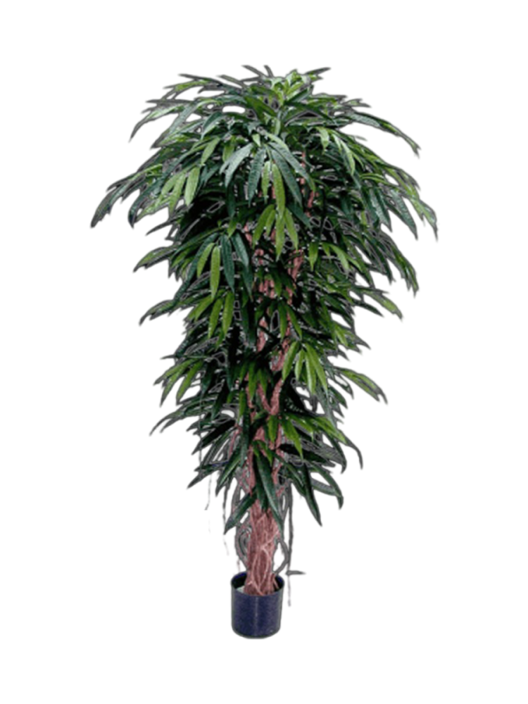 Lebensechte Kunstpflanze „Longifolia XL“, verschiedene Grössen Baq Design