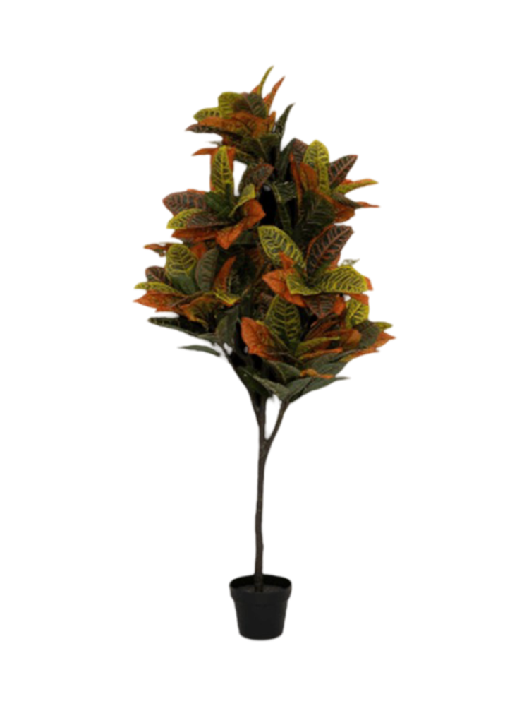 Lebensechte Kunstpflanze „Codiaeum“, verschiedene Grössen Baq Design