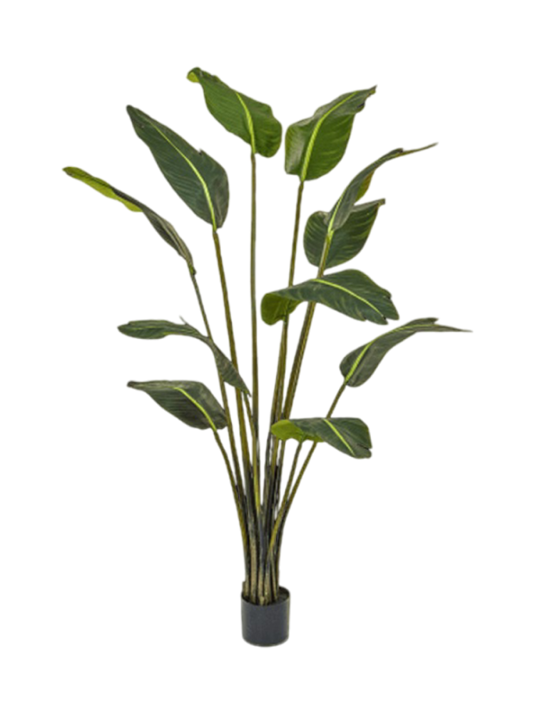 Lebensechte Kunstpflanze „Strelitzia Bird of Paradise“, Höhe 180 cm Baq Design