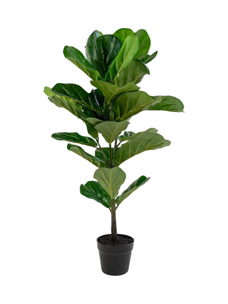 Lebensechte Kunstpflanze „Fiddle Leaf Tree“ Grün, Braun Chosen by Bloomingloft