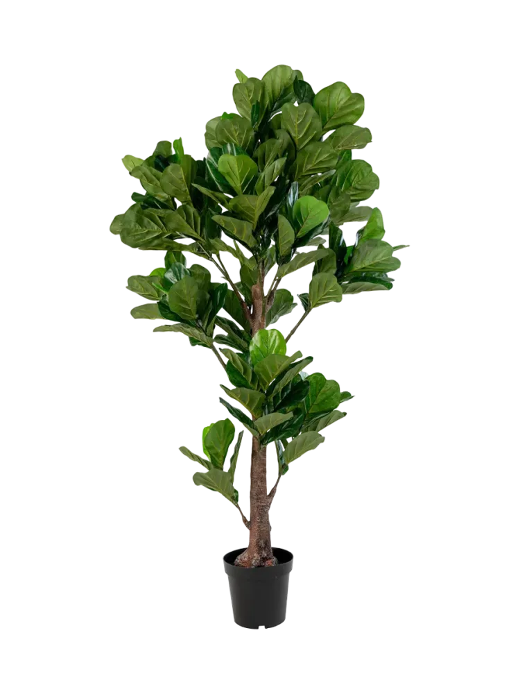 Lebensechte Kunstpflanze „Fiddle Leaf Tree“ Grün, Braun Chosen by Bloomingloft