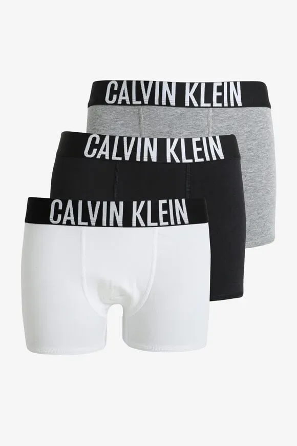 Calvin Klein Underwear Dreierpack Boxershorts - Black + White + Grey Heather 14 Kids