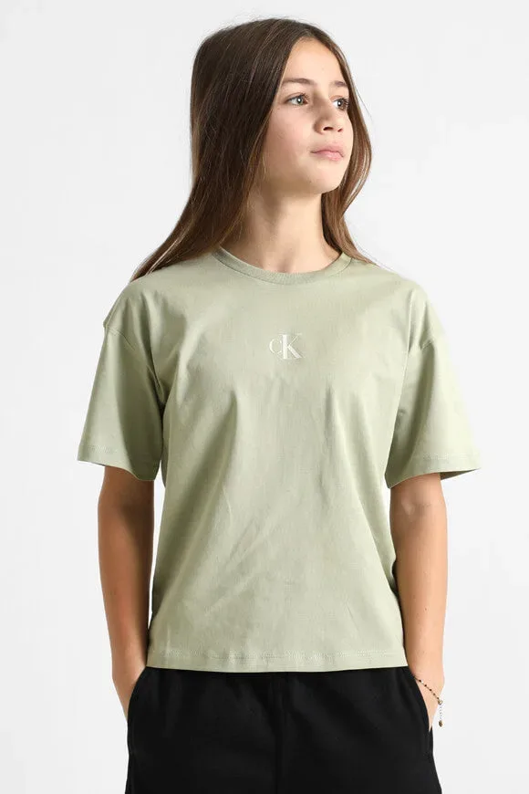 Calvin Klein Jeans T-Shirt - Misty Vale 12 Kids