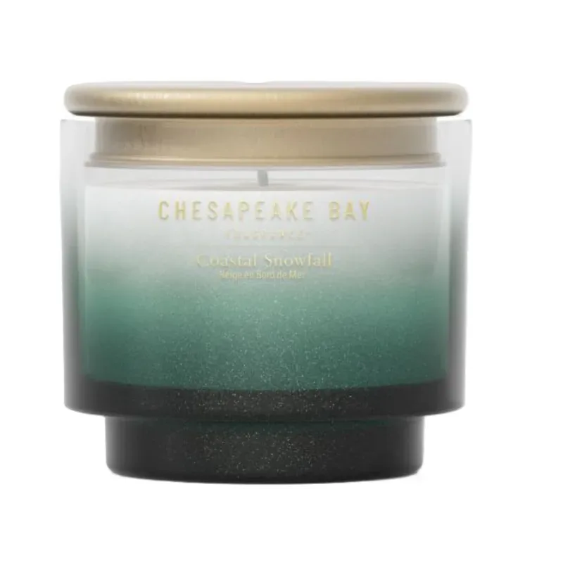 Chesapeake Bay Candle Coastal Snowfall Duftkerze (127g)